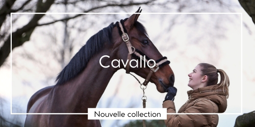 Cavallo FR